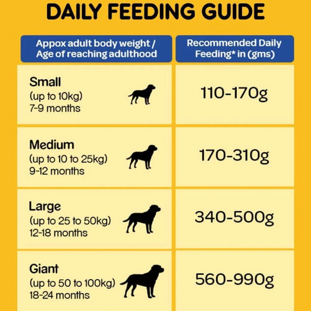 Pedigree Dog Dry Food